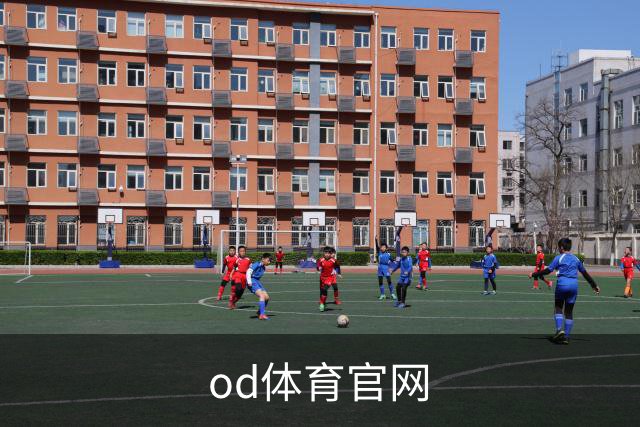 关于od体育官网